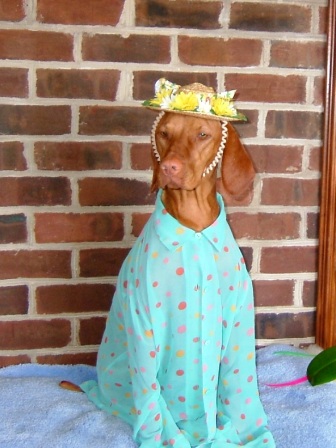 Aliss ~ All Dressed up in her Easter Best