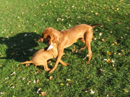 Macy playing with her mom