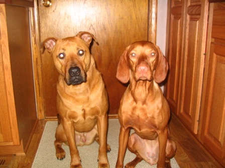 Piper and Sampson