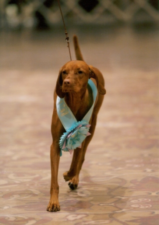 Parade of Titleholders Nationals 2006