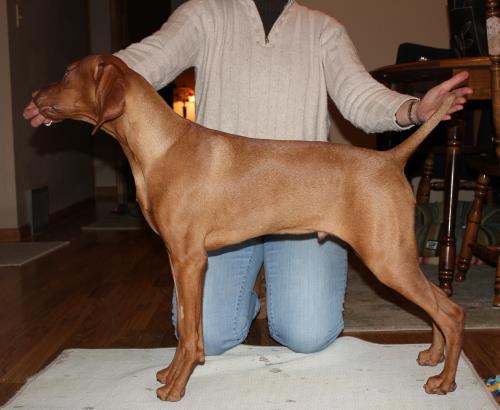 Seely 5 1/2 months